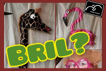 Bril?